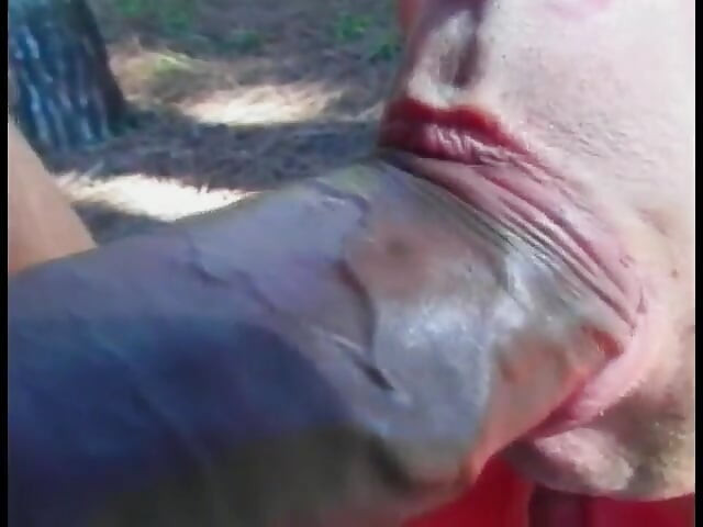 Black shemale Vinicius with big melons is not against to go somewhere private to ride his hard cock