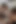 Three horny lesbian eating each others pussy and butts