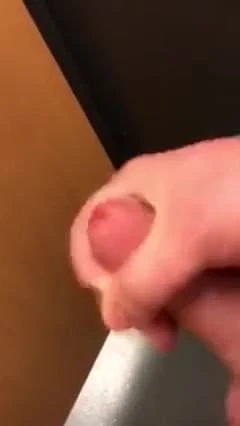 Scottish Tribute