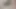 Arschkrack