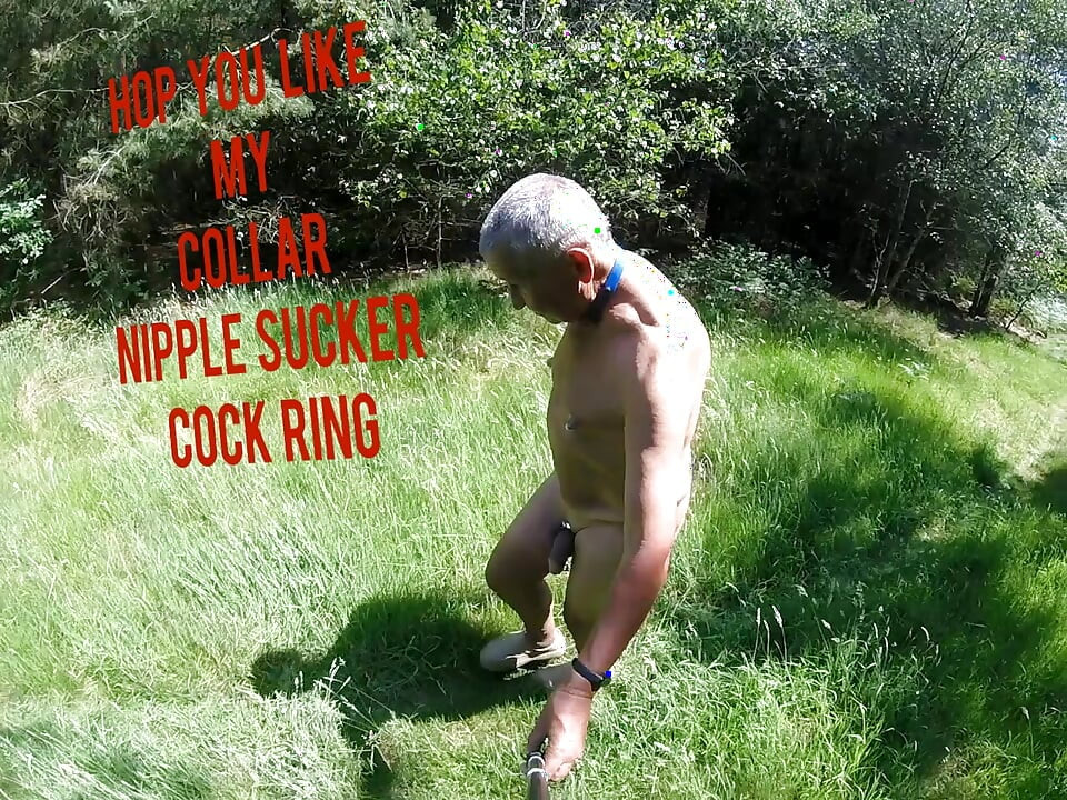 Šetnja 39 2025