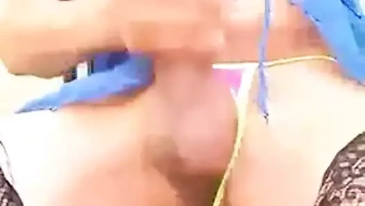 Xavieres lechazo