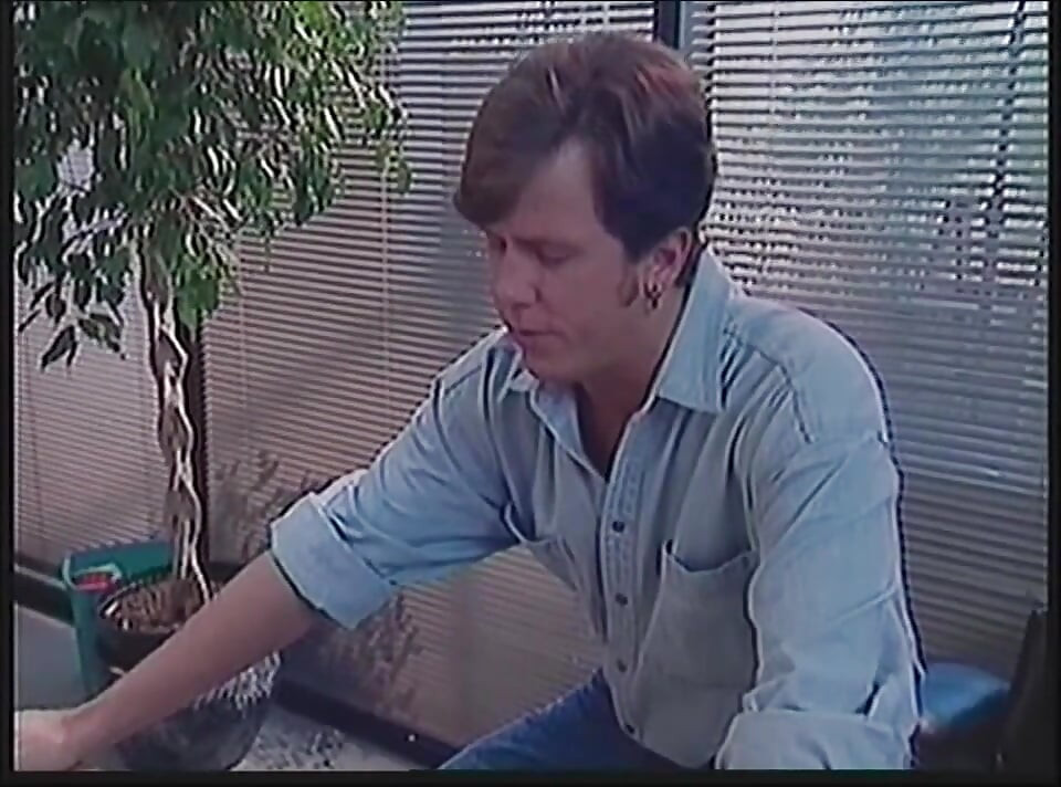 The Voyeur