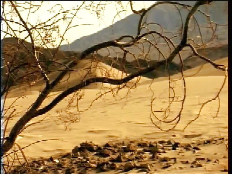 Even in the Desert Under the Hot Sun with Hot Women, There's Fucking