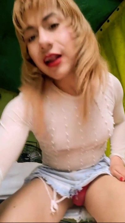 Живий виступ 11 листопада