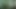 Tasks from the Master 05.07.2020
