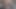The CelineFucks From Fetlife