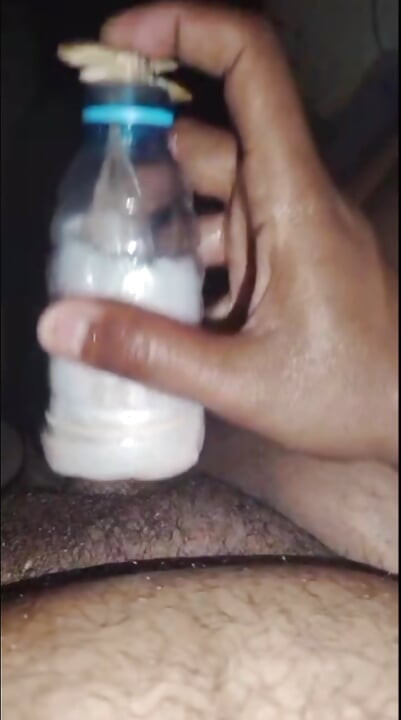 Sudanes cock