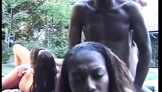 Two horny black couples fuck side by side on the grass