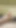 Young dick close up and cum, masturbation pov, cum dick pov, sperm