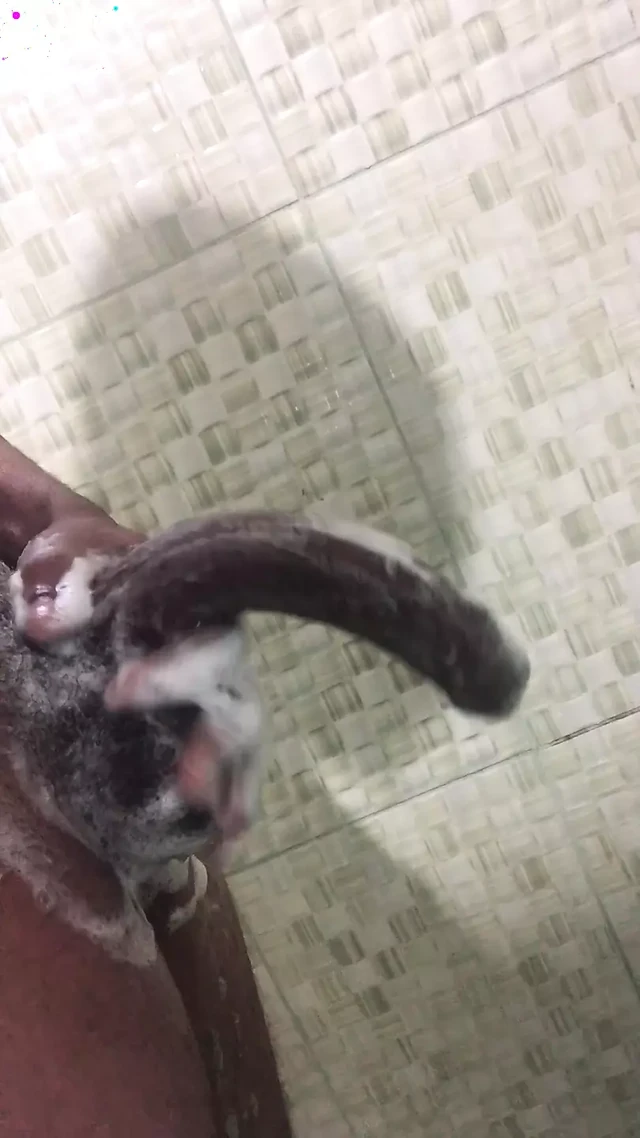 Yummy dick
