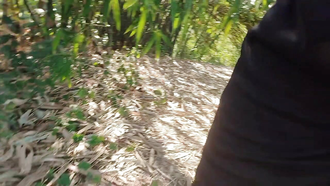 Panjabi Desi garoto floresta ao ar livre punheta