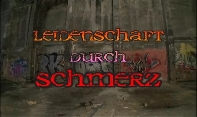 Leidenschaft durch Schmerz Part 1