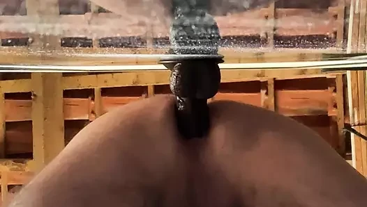 Anal