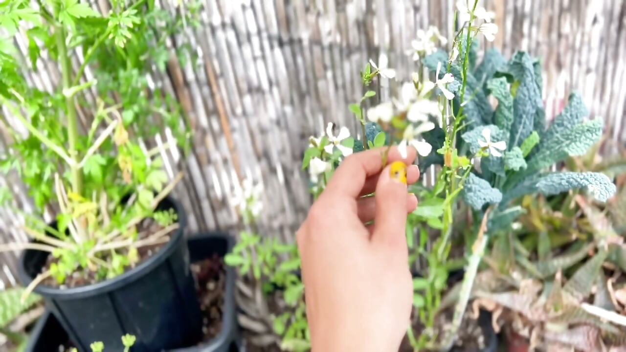 Naked in the Garden: Private Patio Tease, Pee for Plant
