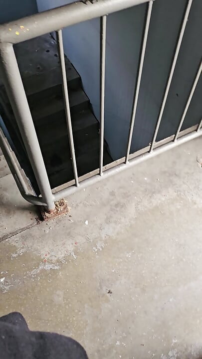 outdoor in the parking garage- stairwell wiped