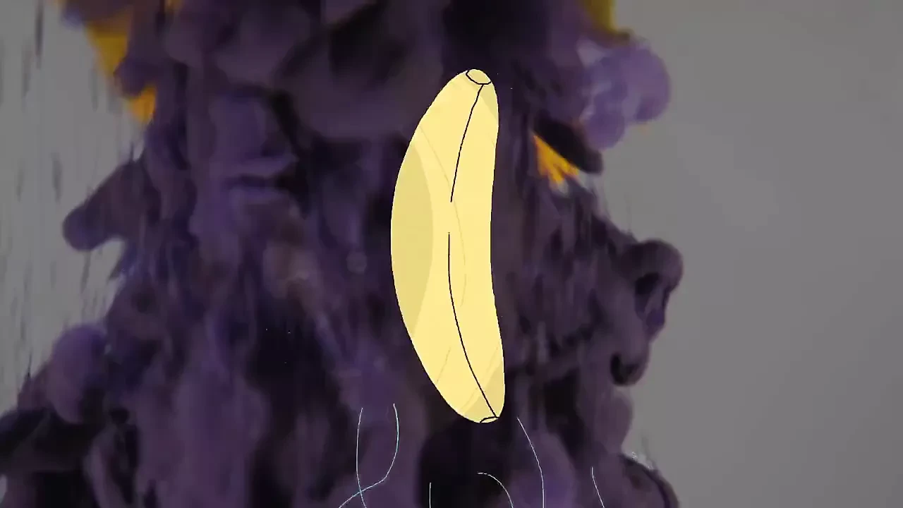 香港的宝贝雷鬼墨西哥