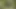 Zolee undresses in the forest and then cums