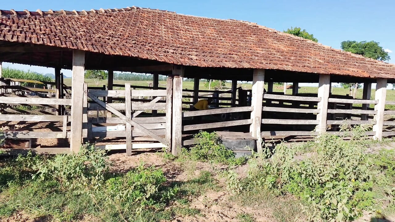 FUI A VISITAR MI GRANJA Y ACABÉ TENIENDO SEXO CON EL VAQUERO, ÉL ME FOLLÓ COMO A UNA ZORRA