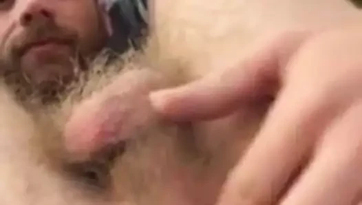 azgın seksi ayı delik oynama