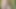 Brunette Whore Wants Me To Fuck Her Mouth – Hot Cum All Over Her Face