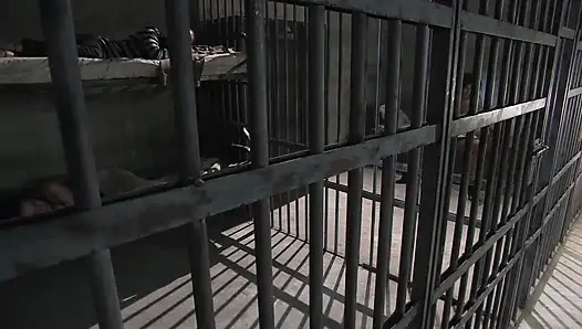 Соло-писанки Xandra Brill