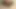 Bareback Lot of Cum Young Bi