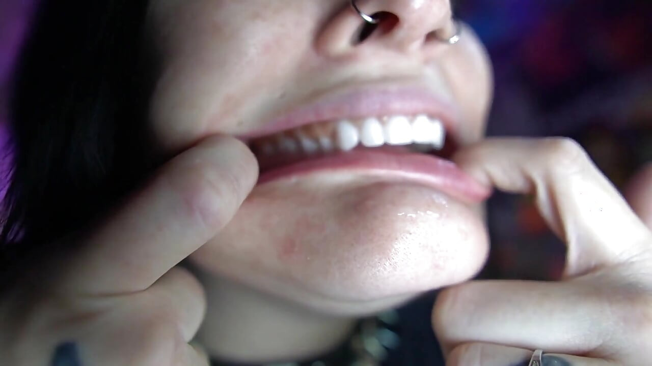 Updated Mouth Tour