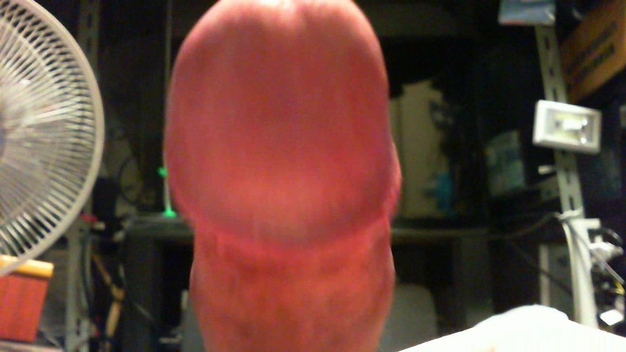 japanese penis 05