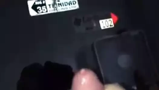 Çılgın döl sesh