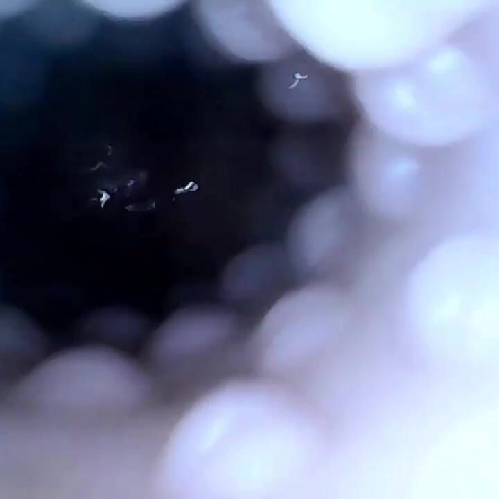 ของเล่นเย็ดโคลสอัพภายใน