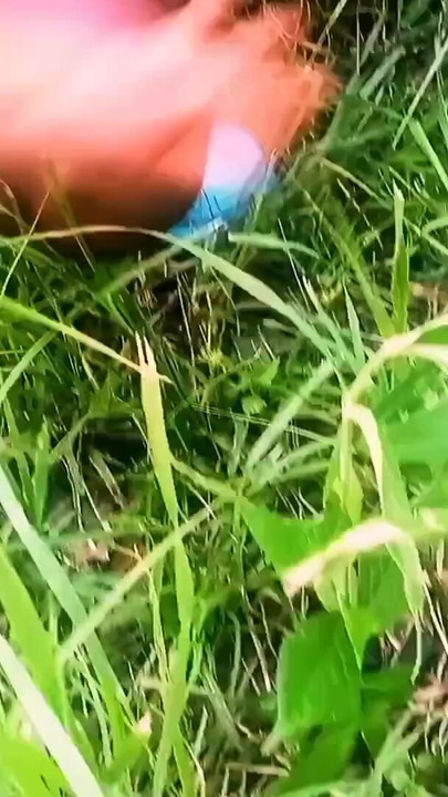 Key moment from "Loving in the Bush"