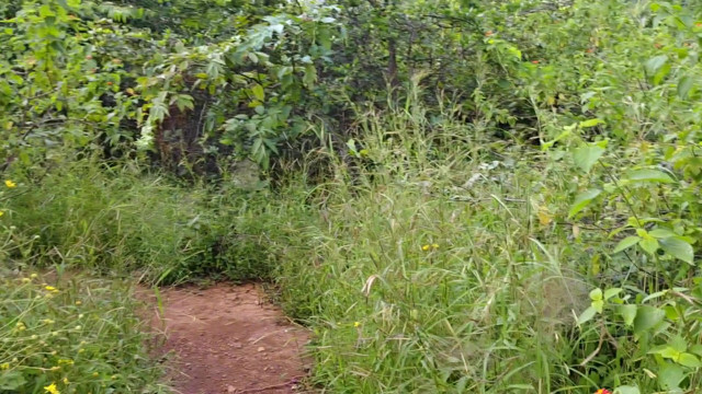 Today fucking doggy style position bhabhi stepsister