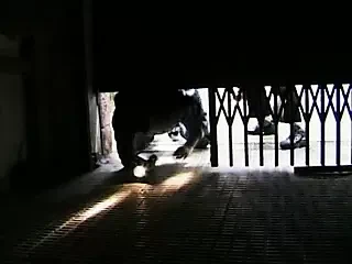 Pirate Deluxe 05 - Tanya Hide的扭曲梦境