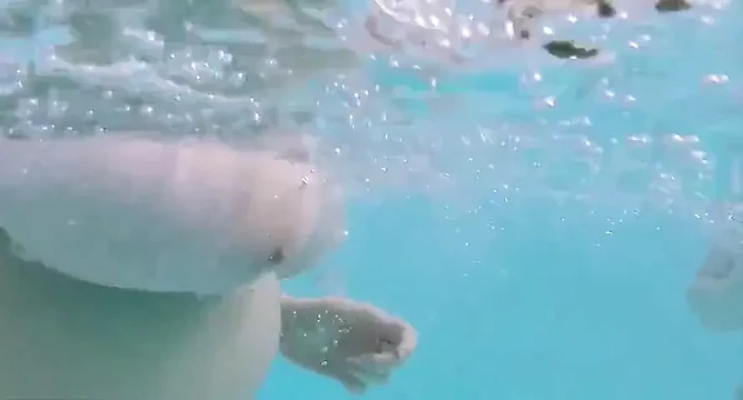 out of control !
