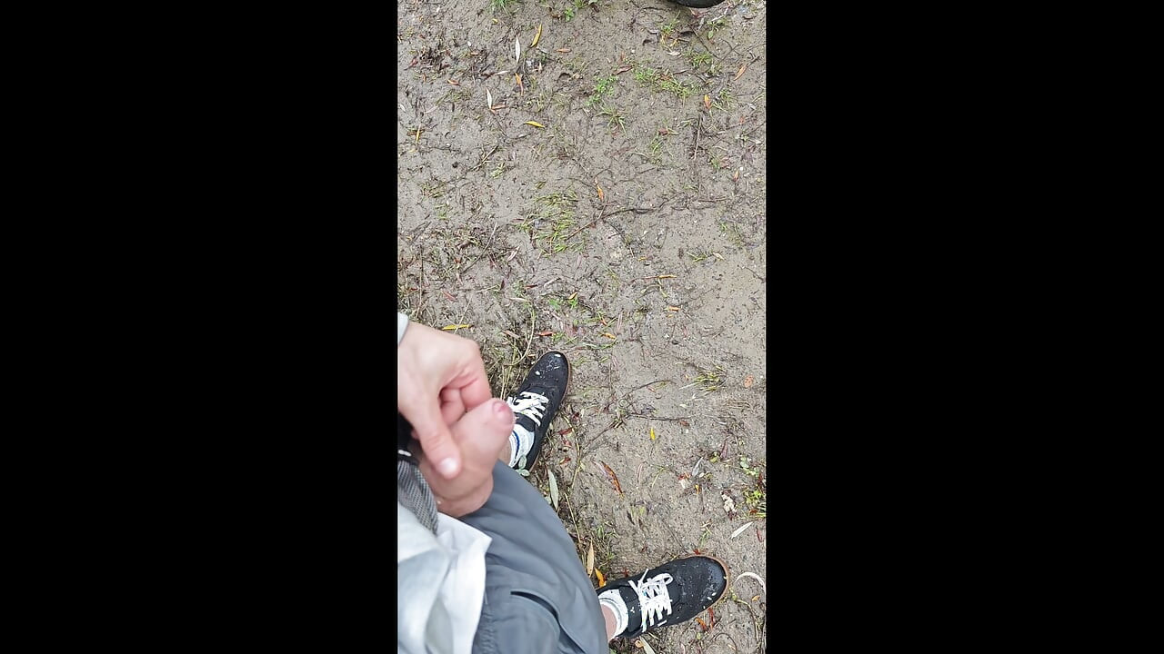 סימון טריטוריה + בונוס