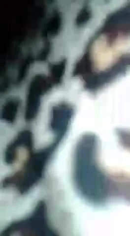 MIRKO VEDETTO SEXO CON CLIENTA CHILENA 3 .. SE MEA AL FINAL