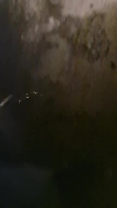 Italian pig pissing in truck parking