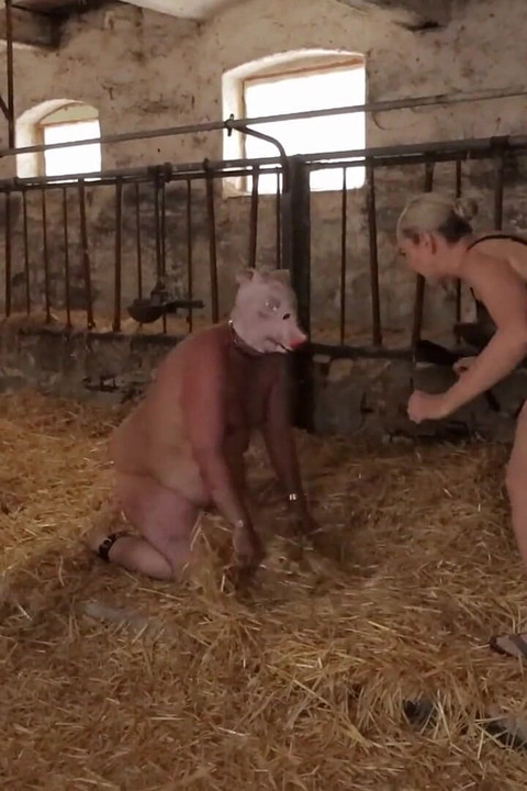 Ćwiczenia dla świnka