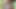 Homemade Spicy_Meow trans control guy's dick using vacuum pump and cum big shoot together