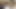 Zitternder orgasmus durch kitzlerstimulation