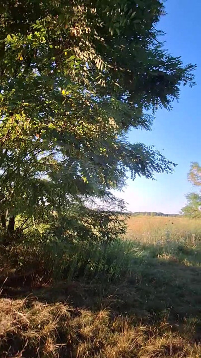 Naked walk