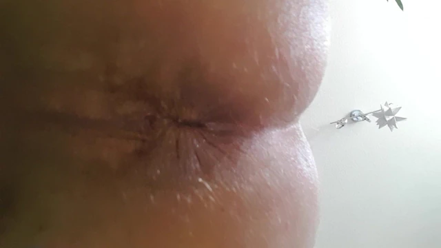 Fuck my ass please