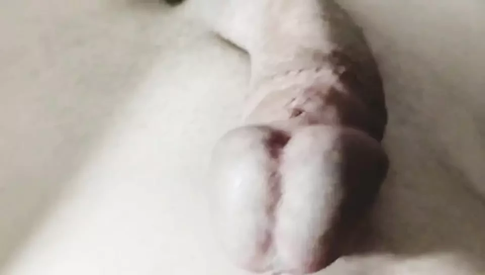 Horny Boy Masturbates Slowly and Explodes
