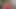 POV! getting my cock sucked by my beautiful stepdaughter!