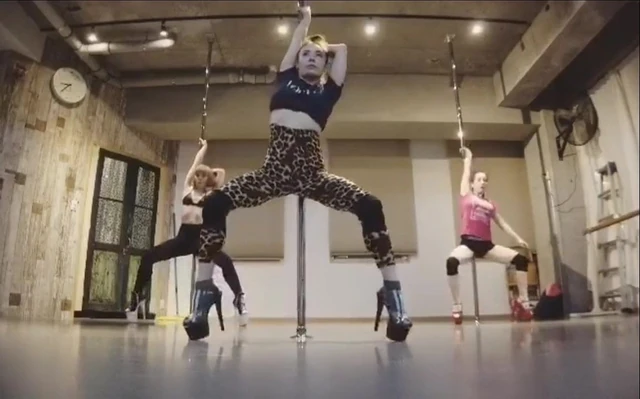 Stripper Training 2...SO