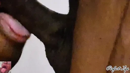 Soft Lips Sucks Cock Super Sloppy