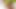 Gay & Trans - Tranny Group Sex: 7 Men Fuck the Horny Ladyboy
