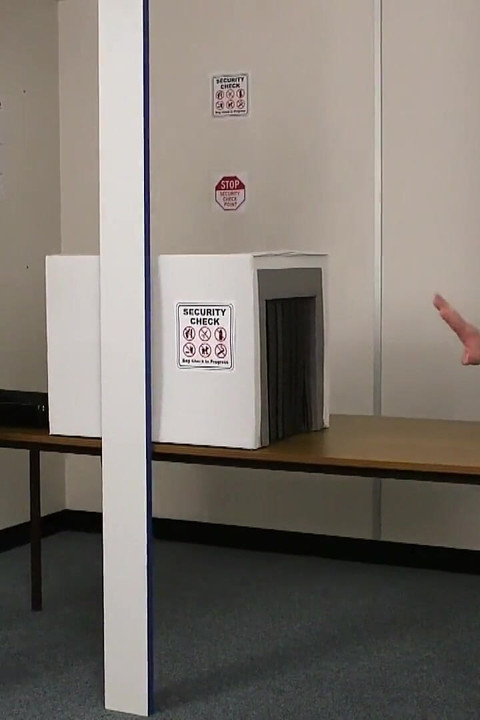 Airport Security Facial
