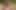 Guy Fucks in Front of His GF - Familyscrew